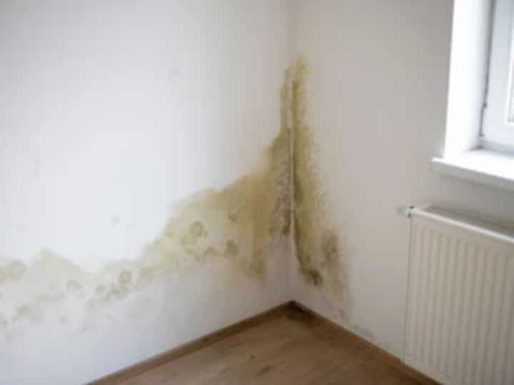water damage ann arbor; don't ignore water damage problems
